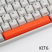 Load image into Gallery viewer, Topre Electrostatic Capacitive Non-Contact Type keyboards keycap PBT spacebar